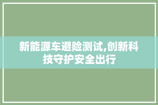 新能源车避险测试,创新科技守护安全出行