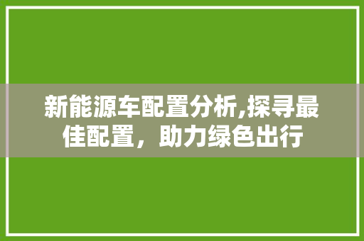 新能源车配置分析,探寻最佳配置，助力绿色出行