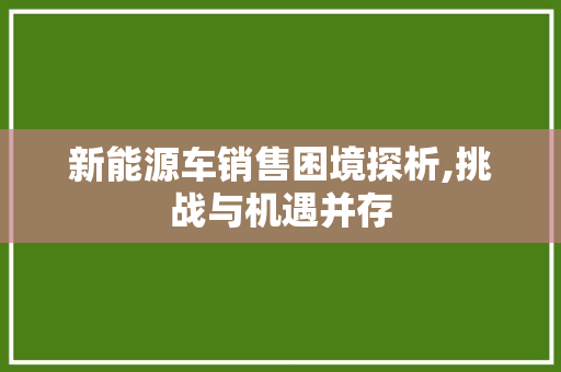 新能源车销售困境探析,挑战与机遇并存