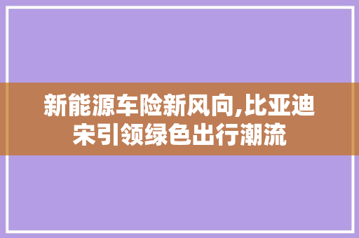 新能源车险新风向,比亚迪宋引领绿色出行潮流