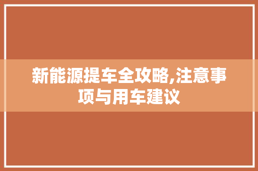 新能源提车全攻略,注意事项与用车建议