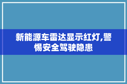 新能源车雷达显示红灯,警惕安全驾驶隐患