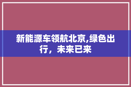 新能源车领航北京,绿色出行，未来已来