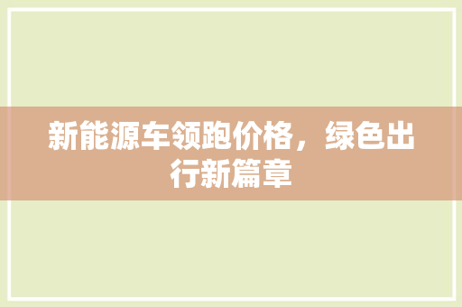 新能源车领跑价格，绿色出行新篇章