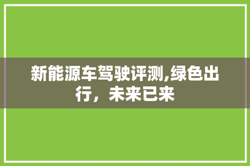 新能源车驾驶评测,绿色出行，未来已来