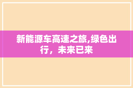 新能源车高速之旅,绿色出行，未来已来