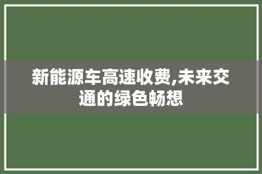 新能源车高速收费,未来交通的绿色畅想