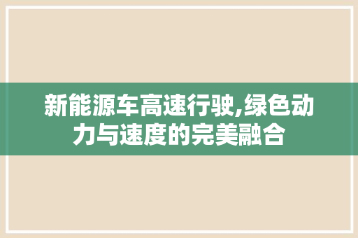 新能源车高速行驶,绿色动力与速度的完美融合