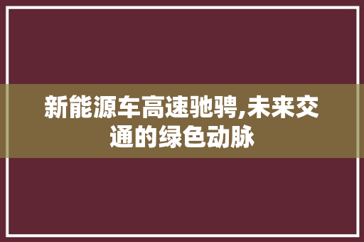 新能源车高速驰骋,未来交通的绿色动脉