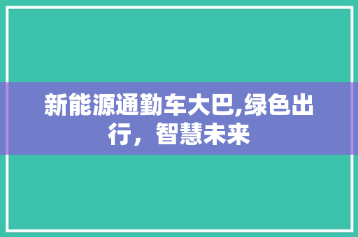 新能源通勤车大巴,绿色出行，智慧未来