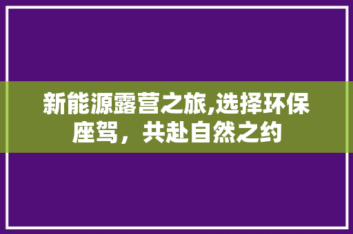新能源露营之旅,选择环保座驾，共赴自然之约