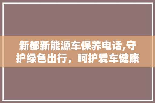 新都新能源车保养电话,守护绿色出行，呵护爱车健康