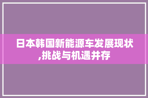 日本韩国新能源车发展现状,挑战与机遇并存