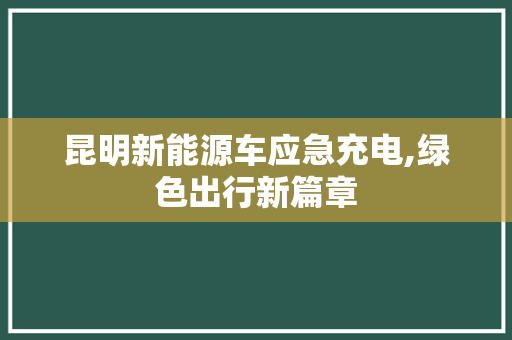 昆明新能源车应急充电,绿色出行新篇章