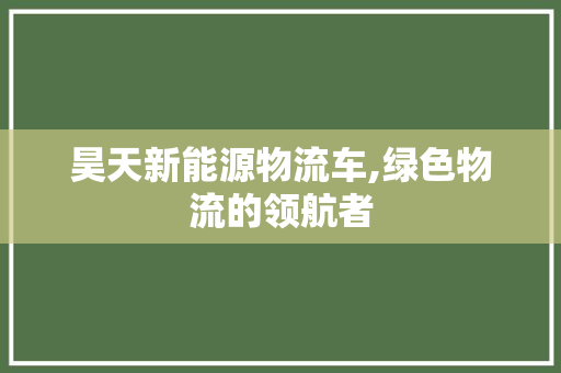 昊天新能源物流车,绿色物流的领航者