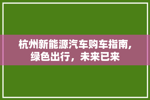 杭州新能源汽车购车指南,绿色出行，未来已来
