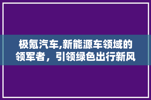 极氪汽车,新能源车领域的领军者，引领绿色出行新风尚