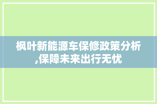 枫叶新能源车保修政策分析,保障未来出行无忧