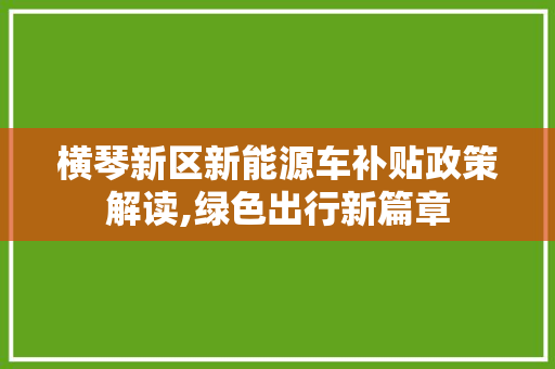 横琴新区新能源车补贴政策解读,绿色出行新篇章