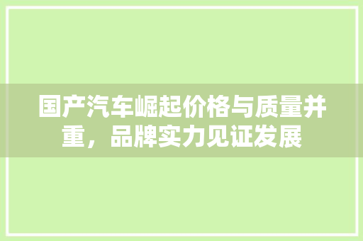 国产汽车崛起价格与质量并重，品牌实力见证发展