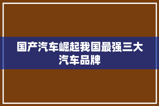 国产汽车崛起我国最强三大汽车品牌