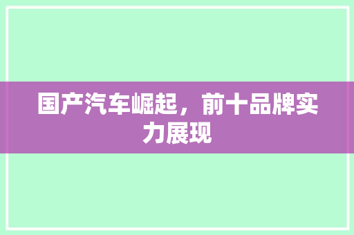 国产汽车崛起，前十品牌实力展现