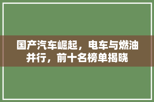 国产汽车崛起，电车与燃油并行，前十名榜单揭晓