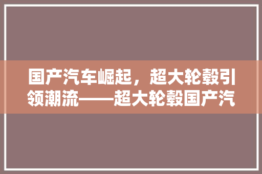 国产汽车崛起，超大轮毂引领潮流——超大轮毂国产汽车品牌排行榜