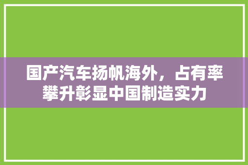 国产汽车扬帆海外，占有率攀升彰显中国制造实力