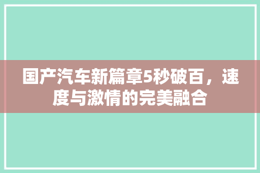 国产汽车新篇章5秒破百，速度与激情的完美融合