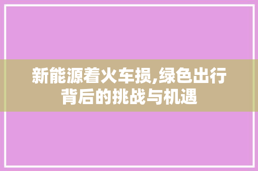 新能源着火车损,绿色出行背后的挑战与机遇