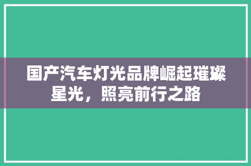国产汽车灯光品牌崛起璀璨星光，照亮前行之路