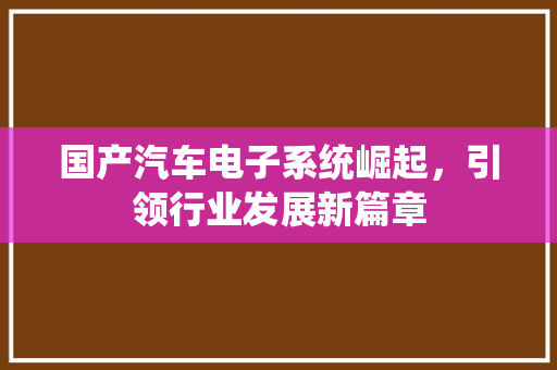 国产汽车电子系统崛起，引领行业发展新篇章
