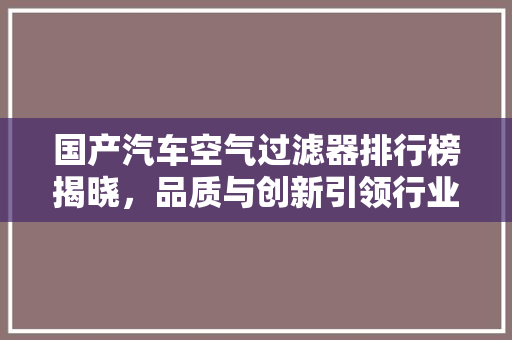 国产汽车空气过滤器排行榜揭晓，品质与创新引领行业发展