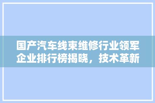 国产汽车线束维修行业领军企业排行榜揭晓，技术革新引领行业发展新篇章