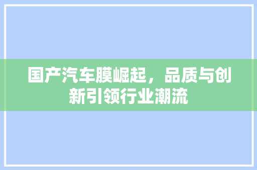 国产汽车膜崛起，品质与创新引领行业潮流