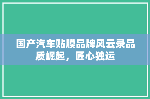 国产汽车贴膜品牌风云录品质崛起，匠心独运