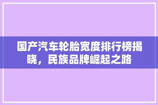 国产汽车轮胎宽度排行榜揭晓，民族品牌崛起之路