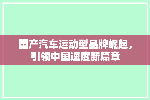 国产汽车运动型品牌崛起，引领中国速度新篇章