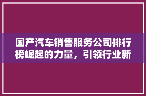 国产汽车销售服务公司排行榜崛起的力量，引领行业新篇章