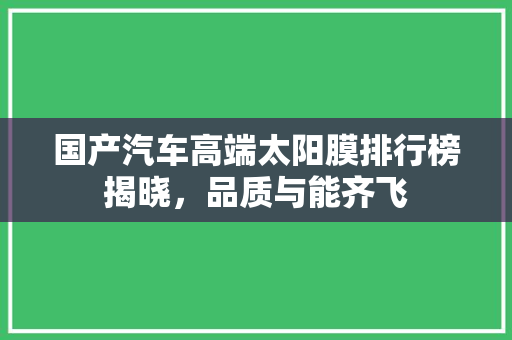国产汽车高端太阳膜排行榜揭晓，品质与能齐飞