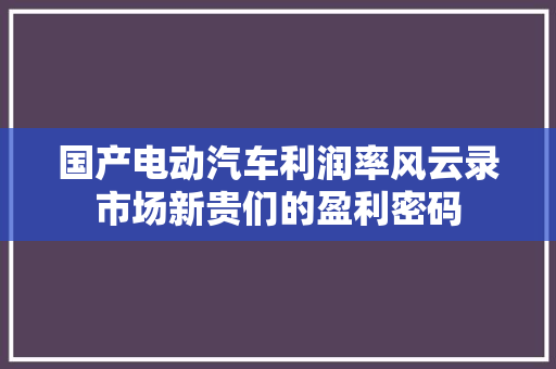 国产电动汽车利润率风云录市场新贵们的盈利密码