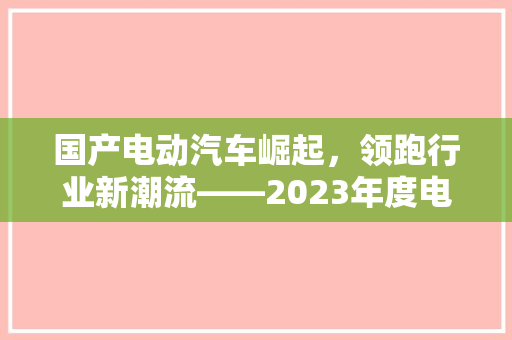国产电动汽车崛起，领跑行业新潮流——2023年度电动汽车推荐排行榜