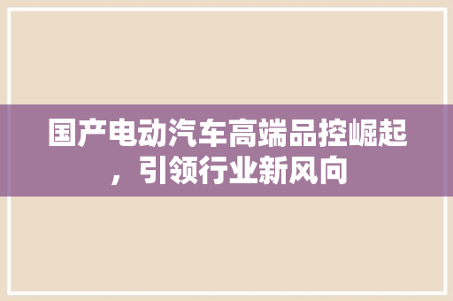 国产电动汽车高端品控崛起，引领行业新风向