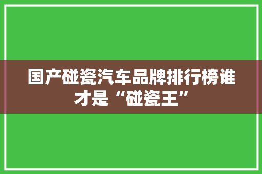 国产碰瓷汽车品牌排行榜谁才是“碰瓷王”