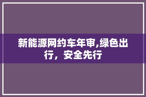 新能源网约车年审,绿色出行，安全先行