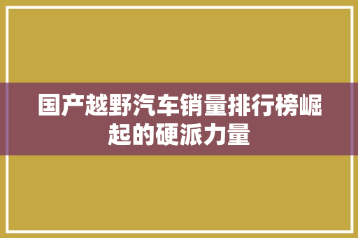 国产越野汽车销量排行榜崛起的硬派力量