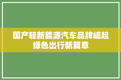 国产轻新能源汽车品牌崛起绿色出行新篇章