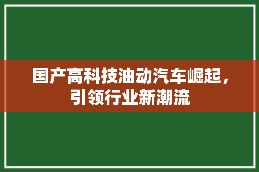 国产高科技油动汽车崛起，引领行业新潮流