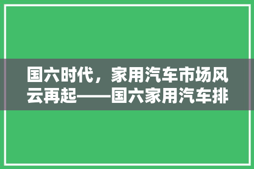 国六时代，家用汽车市场风云再起——国六家用汽车排行榜